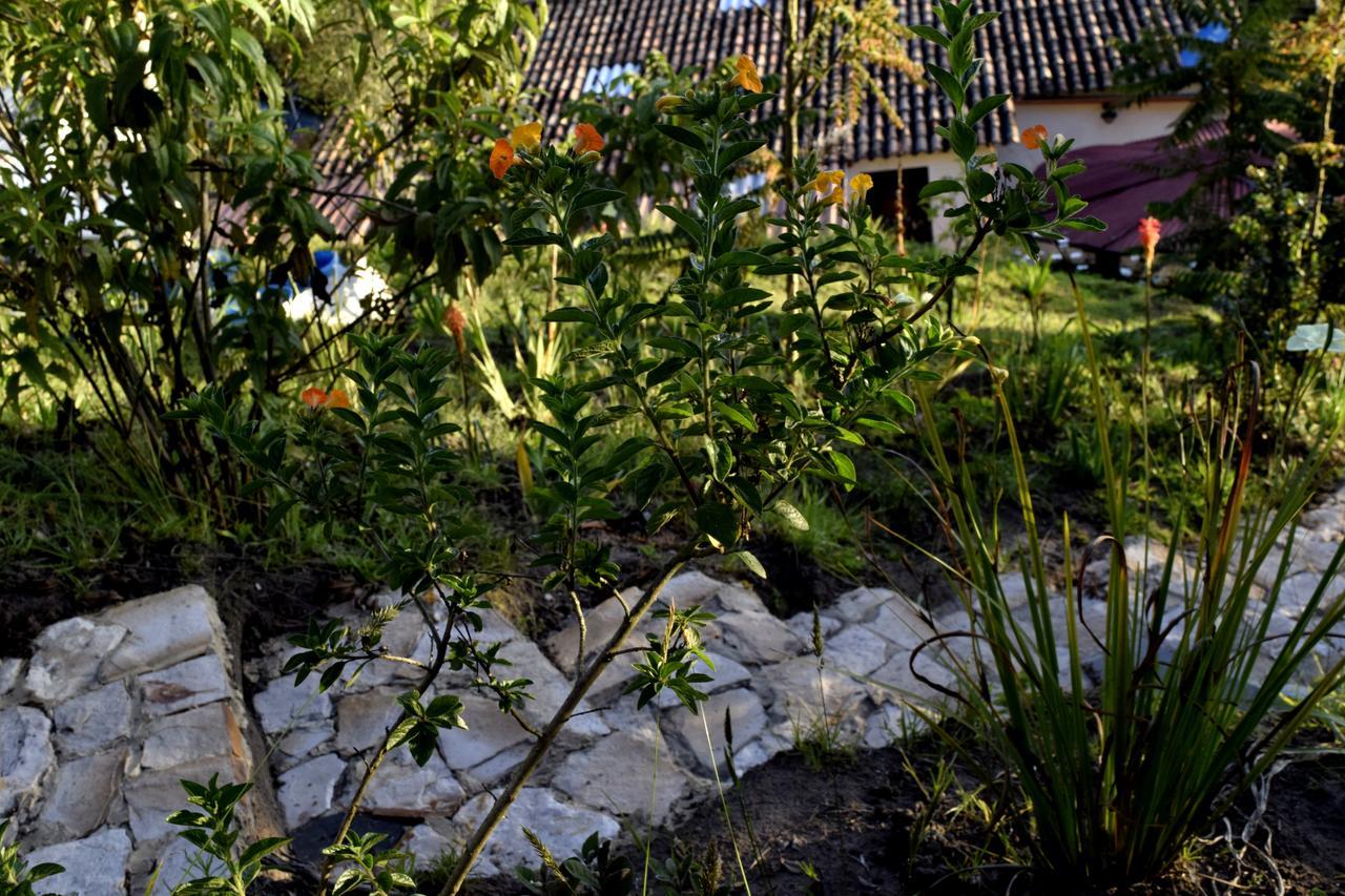 El Pedregal Sopo Bed & Breakfast Ngoại thất bức ảnh