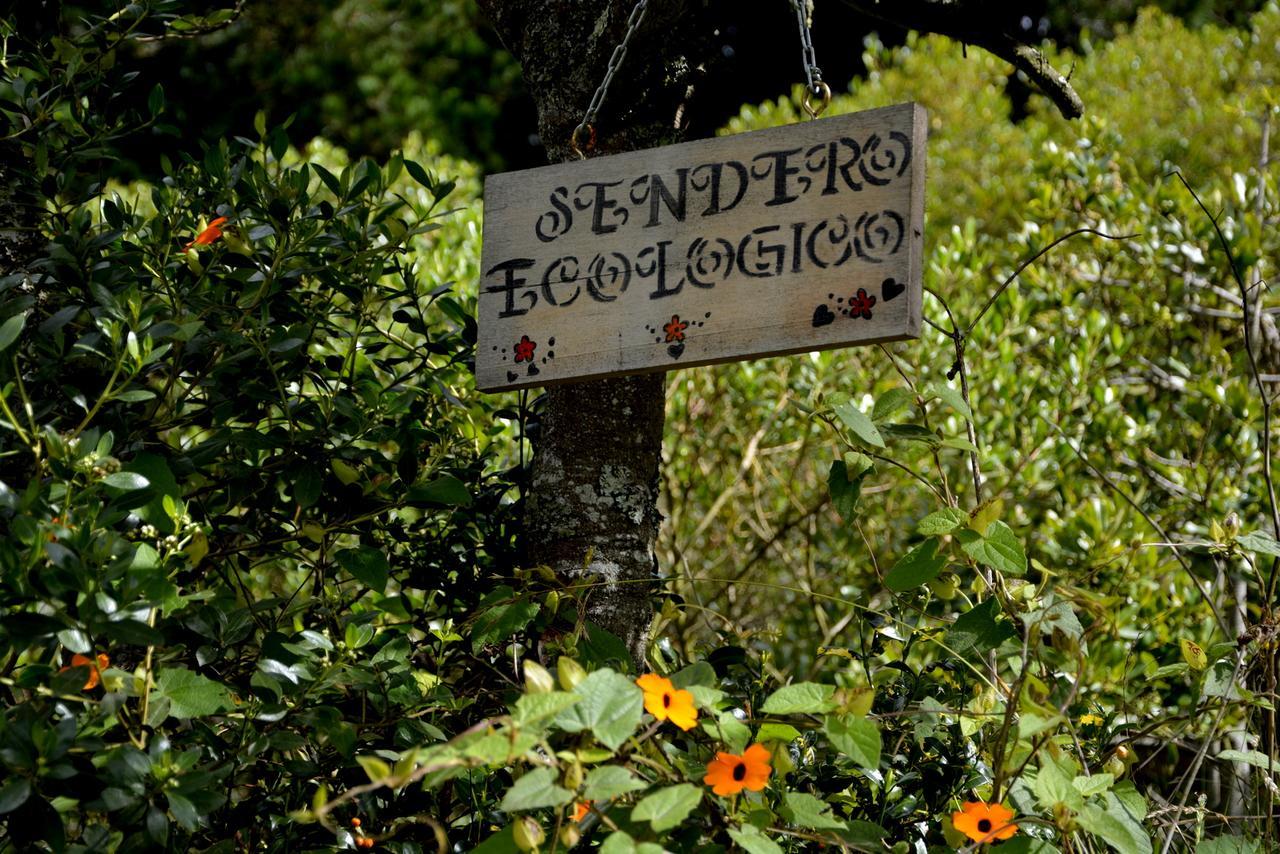 El Pedregal Sopo Bed & Breakfast Ngoại thất bức ảnh